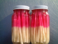 Pickled Ginger Sprout