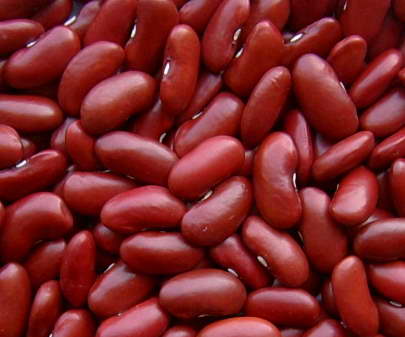 Red kidney bean