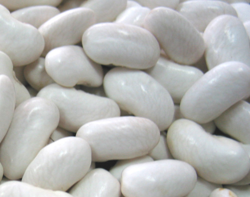 White kidney bean