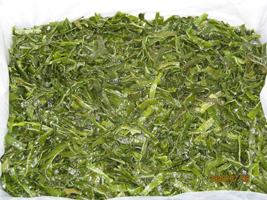 Kuki Wakame