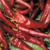 Dry Chilli