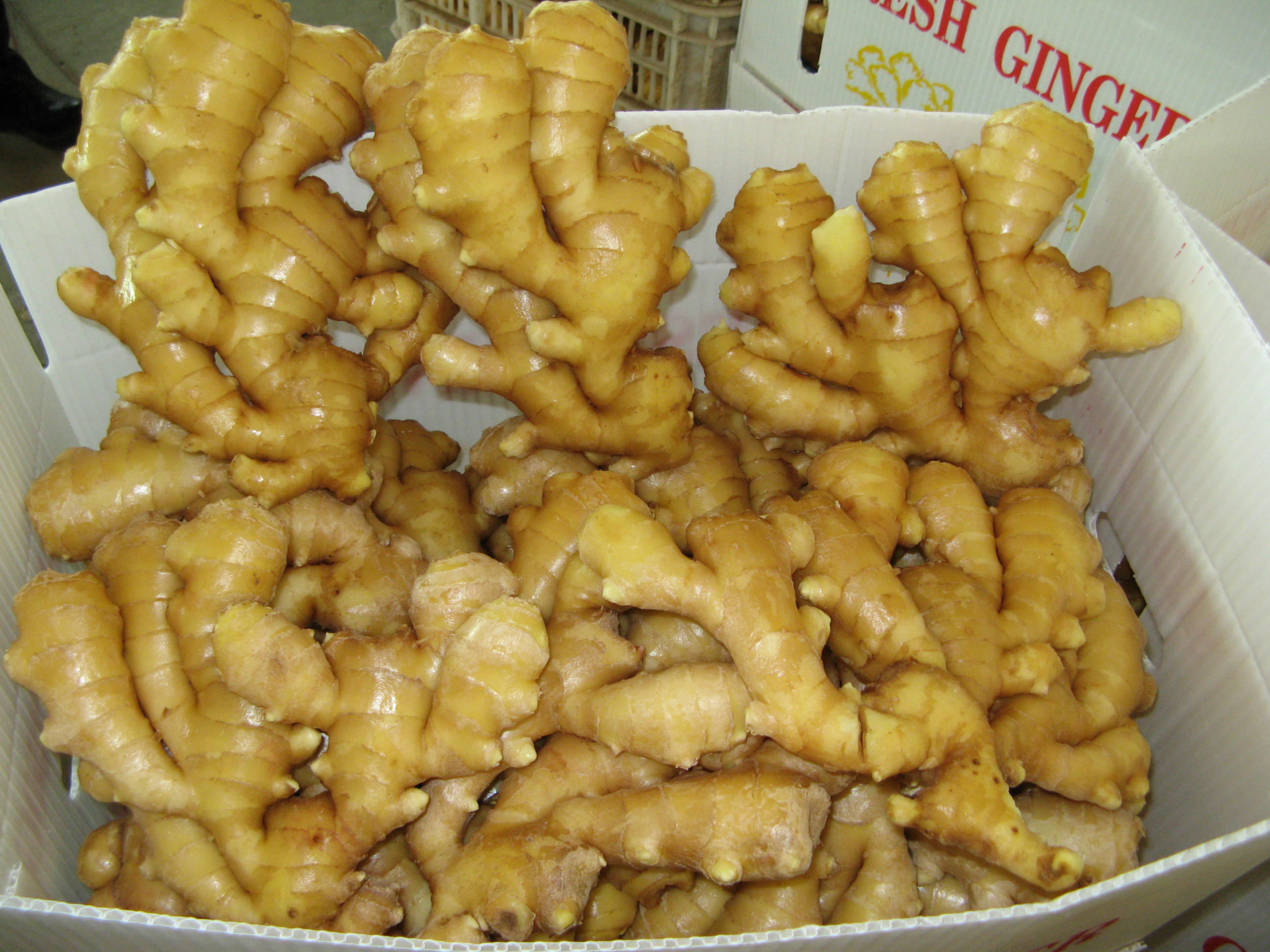Fresh Ginger