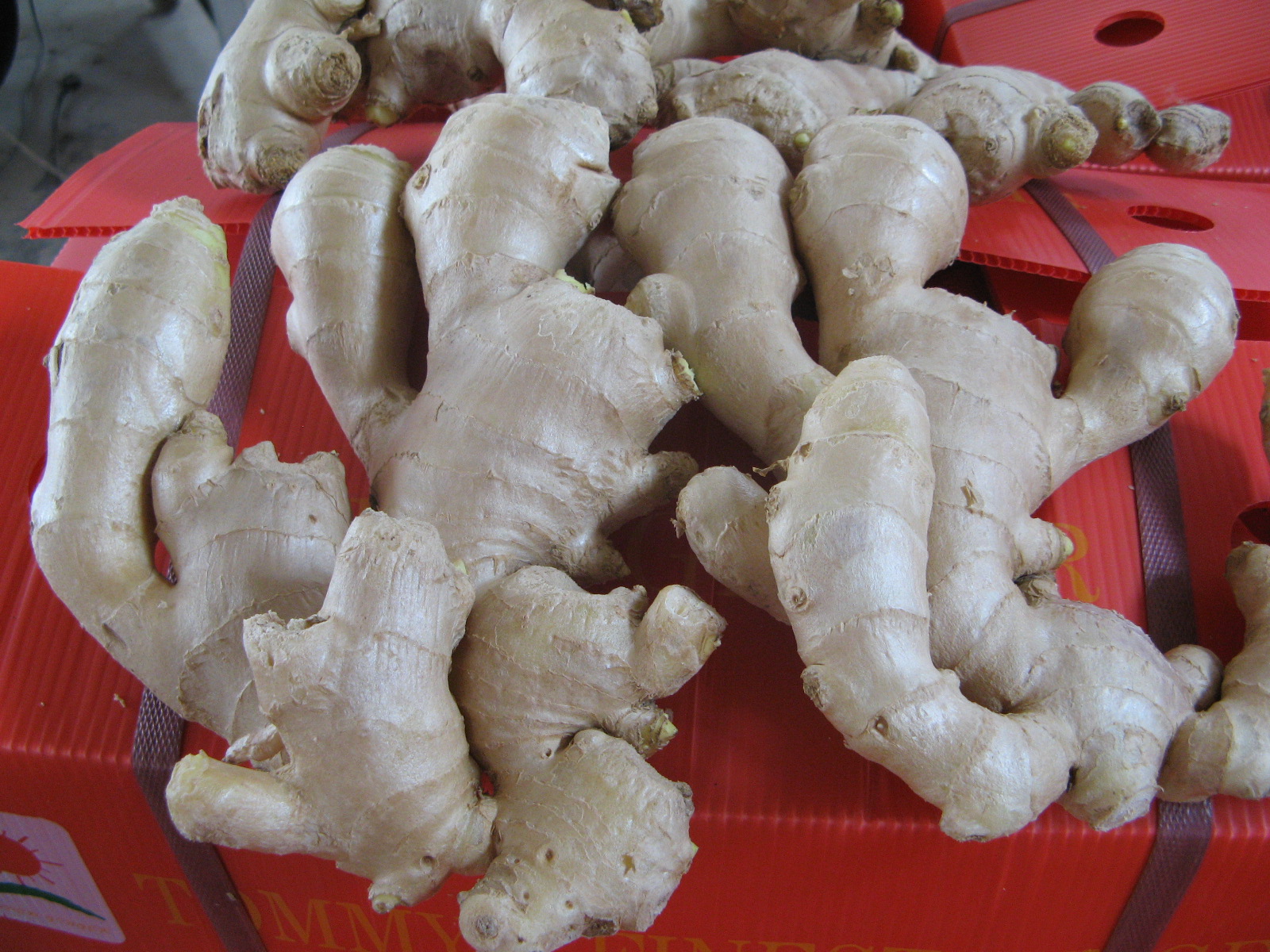 Air Dry Ginger